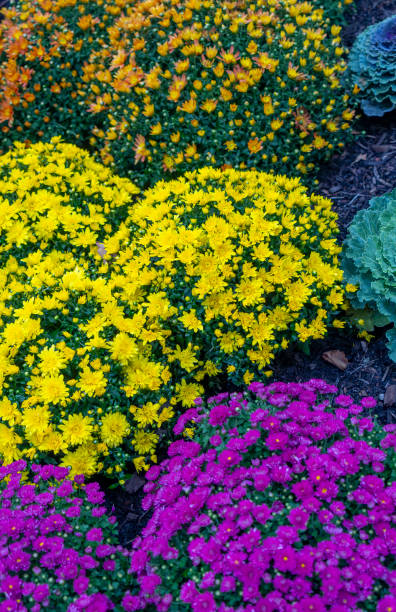 istock Freedom Trail Boston Massachusetts 1800508170