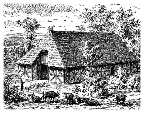 saksonia, niemcy - krajobraz wiejski z domem gospodarczym z murem pruskim z dachem krytym strzechą - thatched roof illustrations stock illustrations