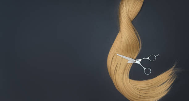 istock Flat lay composition with light brown hair, comb, scissors and space for text on color background. Hairdresser service, hair strength, haircut, hairstyle. Concept hairdresser spa salon. 1800518880