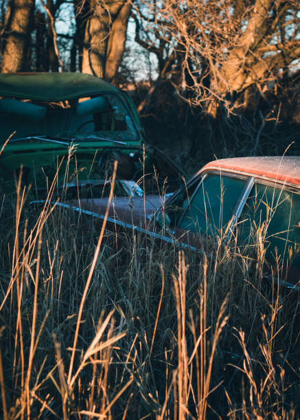 istock on the farm canon 50mm 1800522036