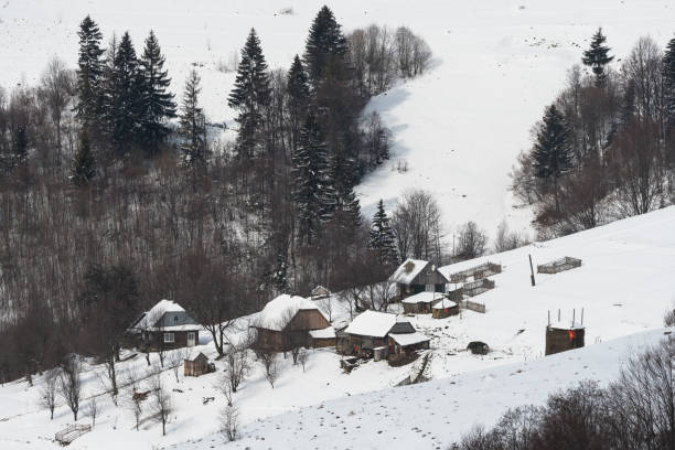 istock Winter view of Carpathian Mountains from the Synevyr pass 1800533135