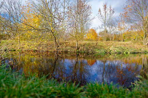 Sunny autumn mood at a small creek in the surrounding countryside of Berlin under a dramatic sky.