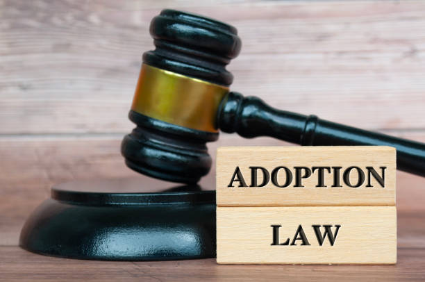 istock Adoption Law text engraved on wooden blocks 1800541565