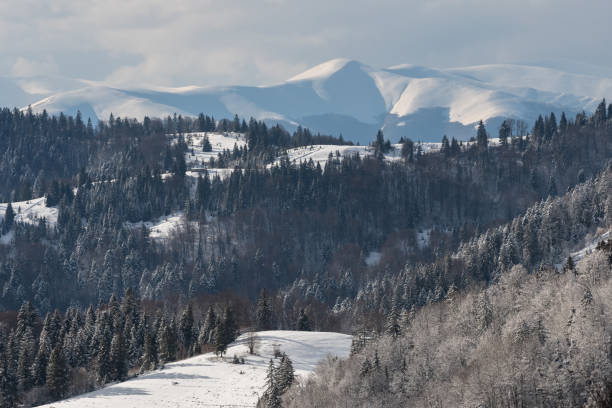 istock Winter view of Carpathian Mountains from the Synevyr pass 1800543237