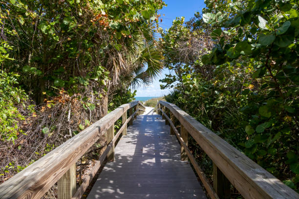 Lush Boardwalk to the Beach, Cocoa Beach, Florida