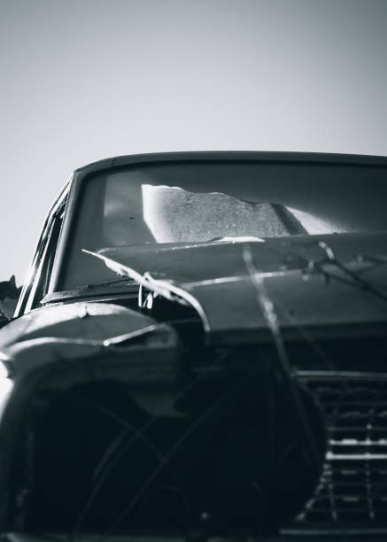 istock on the farm canon 50mm 1800546963