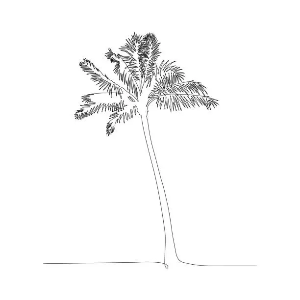 Vector illustration of Palm Tree  Continuous Line Drawing with Editable Stroke