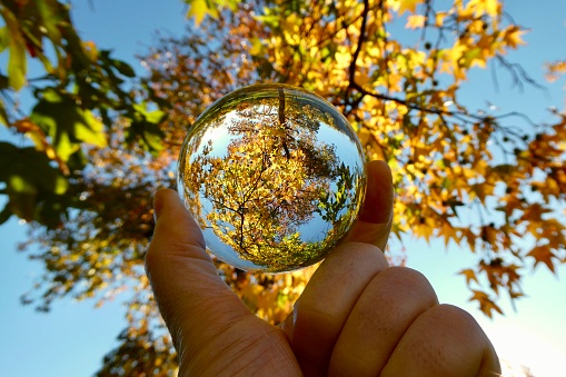 Crystal ball against trees during autumn