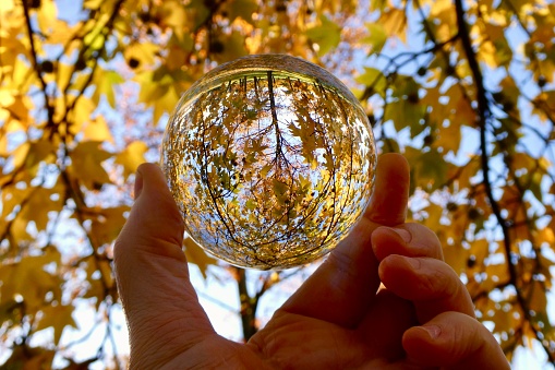 Crystal ball against trees during autumn