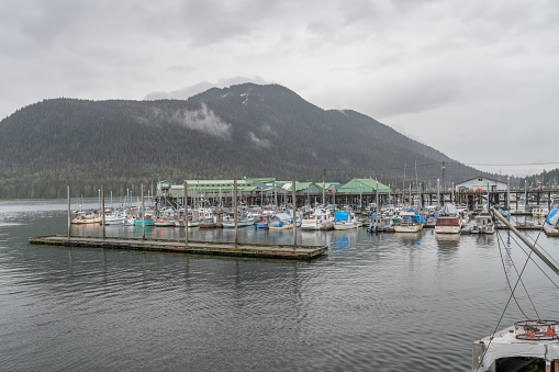 Pleasure and Commercial fishing Boats in the Marina, Petersburg, Alaska