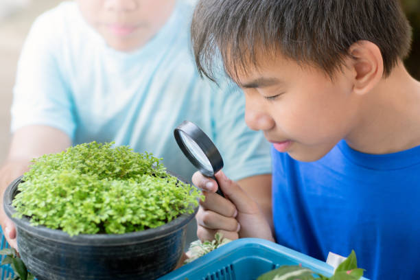 istock learning stems of houseplants 1800589799