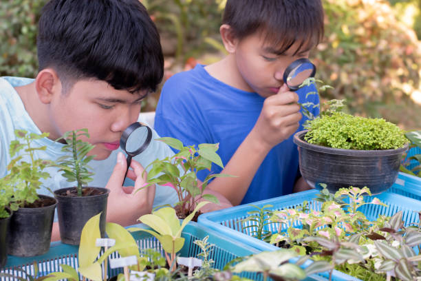 istock learning stems of houseplants 1800589809