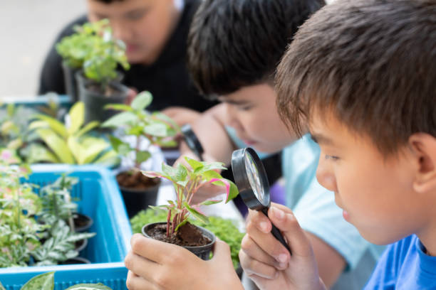 istock learning stems of houseplants 1800590322