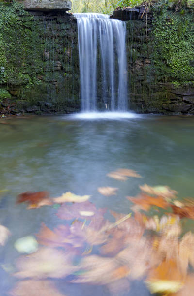 istock Agireta waterfall, Autumn in the Agireta waterfall between Zestoa and Deba. 1800614399
