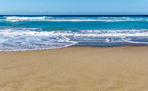 istock Fuerteventura - Playa de Cofete Canary Islands Spain 1800614404
