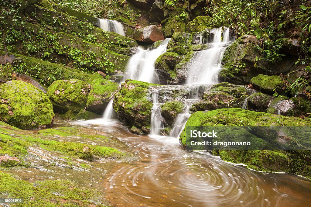 Cachoeira com musgo verde. - Foto de stock de Caindo royalty-free