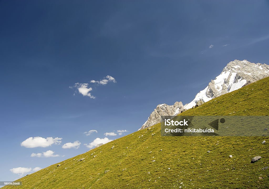 Green hill Gorgeous green hill high up in the mountains. Agriculture Stock Photo