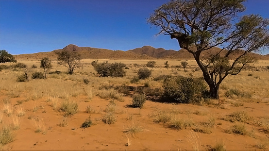 in Namib Rand Nature Reserve in Hardap region