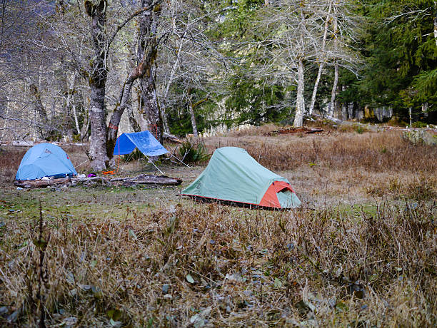 istock Two Tents and a Tarp 180064486