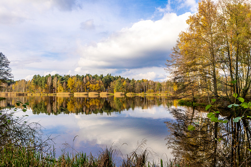 Autumn landscape by the lake, yellow grass, orange leaves falling from the trees in Poland
