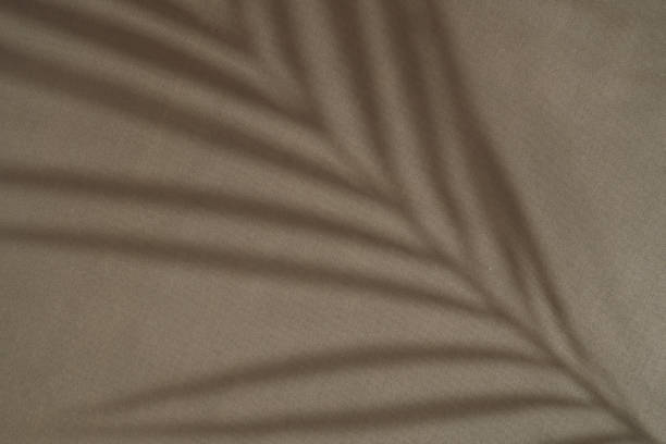 istock Earthy Fabric Background Texture with Palm Shadow 1800653145