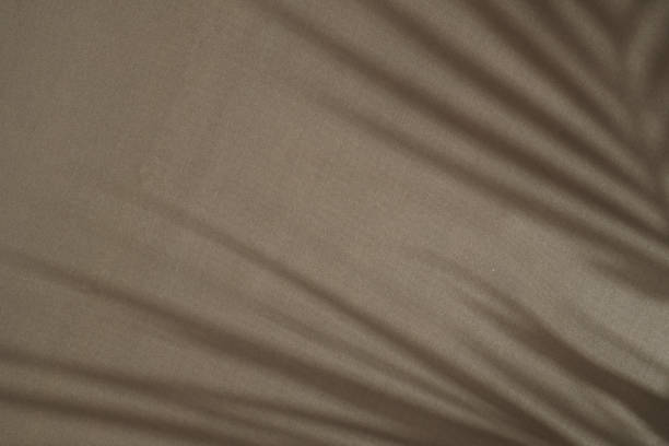 istock Earthy Fabric Background Texture with Palm Shadow 1800653148