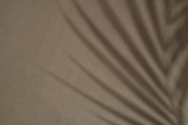 istock Earthy Fabric Background Texture with Palm Shadow 1800653154