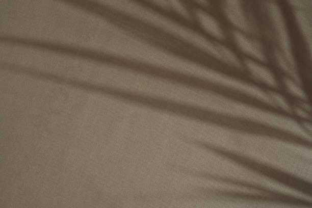 istock Earthy Fabric Background Texture with Palm Shadow 1800653267