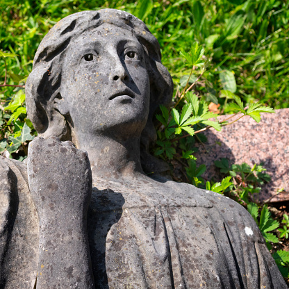 A surprised-looking reconstituted stone angel with clenched fist lying on the grass in a suburban cemetery.