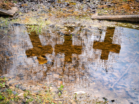 Three old stone crosses reflected in a muddy puddle in a suburban cemetery.