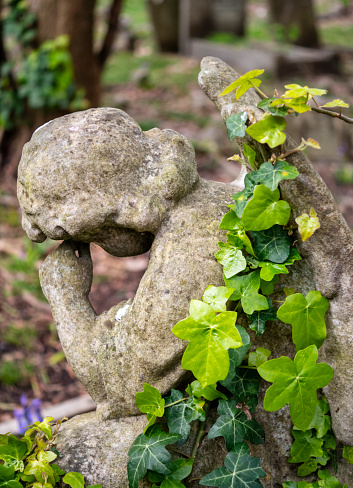 A small, sorrowful Victorian stone cherub, head in hands, beneath a trailing ivy in the children’s plot of a cemetery.