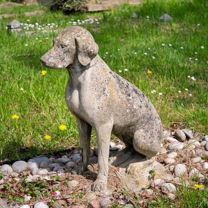 A grave guardian in the shape of a reconstituted stone dog sitting on its owner’s grave in a suburban cemetery, in perpetuity.