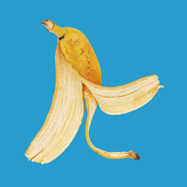 istock Peel of one banana on a blue background. 1800658010
