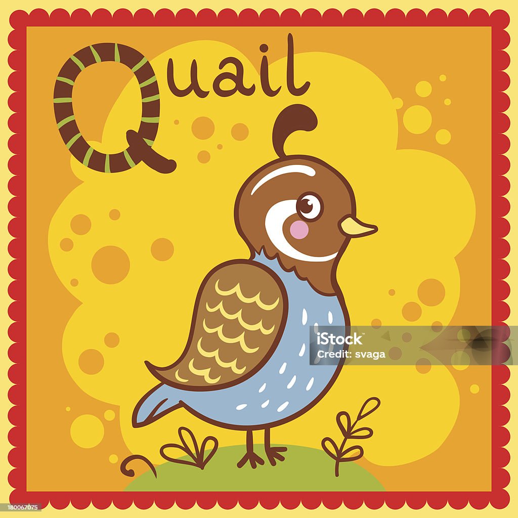 Illustrated Alphabet Letter Q And Quail Stock Illustration - Download Image  Now - Alphabet, Animal, Animal Wildlife - iStock