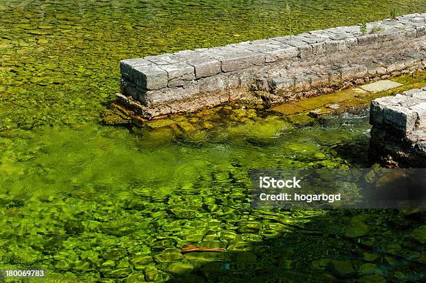 Freshwater Teilnahme Am Meer Stockfoto und mehr Bilder von Adriatisches Meer - Adriatisches Meer, Alge, Bach