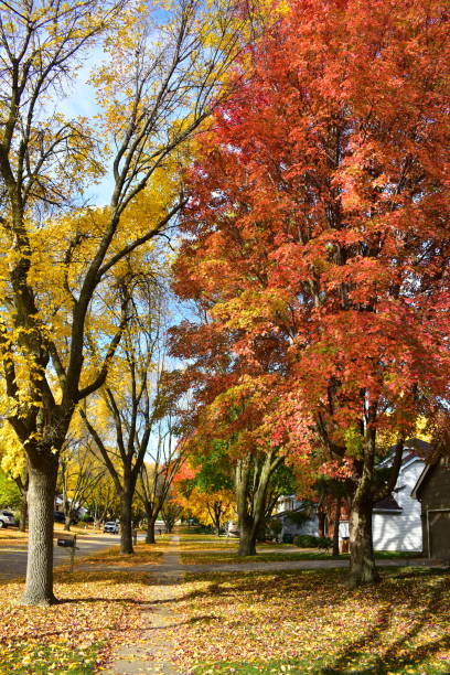 istock Enchanting Fall: Capturing the Beauty of Changing Seasons 1800704095