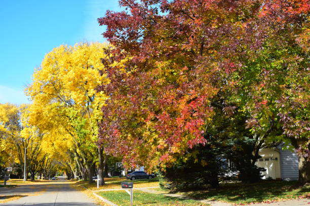 istock Enchanting Fall: Capturing the Beauty of Changing Seasons 1800705666