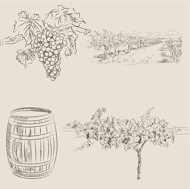 Vector illustration of Winery