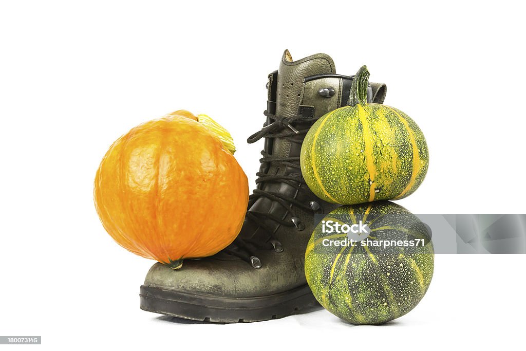 Kurbis-Stiefel - Foto stock royalty-free di Arancione