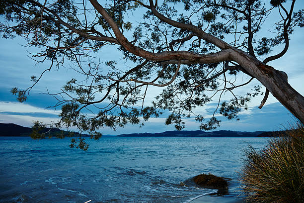 istock Australia Tasmania 180073259