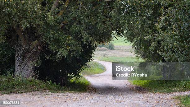 Velha Willows Coutry Estrada Em - Fotografias de stock e mais imagens de Abaixo - Abaixo, Acima, Ao Ar Livre