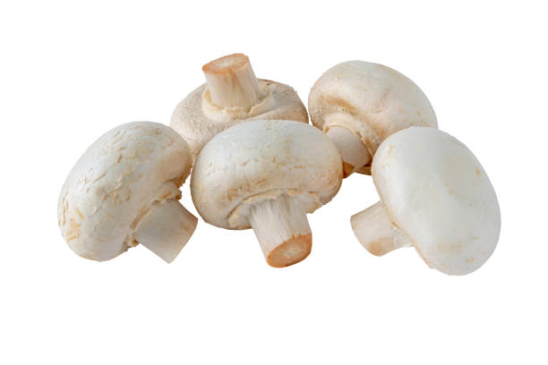 istock White champignons mushrooms isolated on white 1800753331