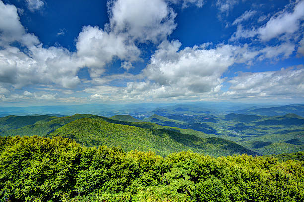gebirge appalachian mountains - blue ridge mountains appalachian mountains appalachian trail forest stock-fotos und bilder