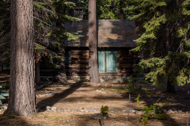 istock Lake Tahoe 1800782045