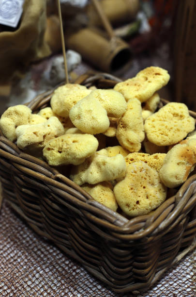 istock sea sponges for hygiene 1800783645