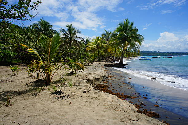istock Impressions from Costa Rica 180079504