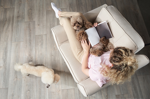 A girl with dogs on an armchair reads a book. Curly poodle with a woman