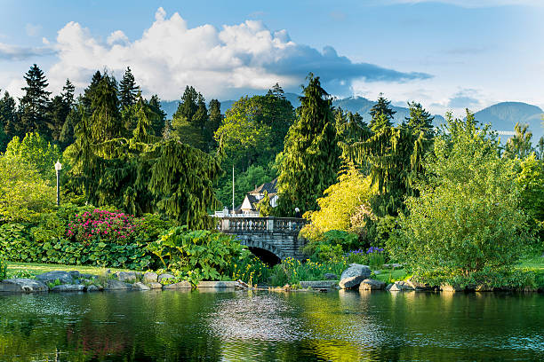 Beautiful view of Stanley Park, Vancouver Vancouver Stanley Park vancouver stock pictures, royalty-free photos & images