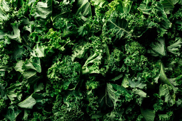 istock Kale cabbage green leaves close-up, background, top view 1800898083