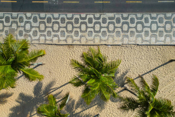 Top View of Ipanema Mosaic Sidewalk and Palm Trees at the Beach in Rio de Janeiro, Brazil.